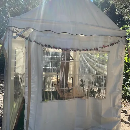 Luxury tent Starlet